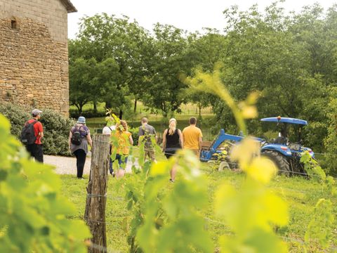 Club Belambra Les Portes de Dordogne - Camping Lot - Image N°31