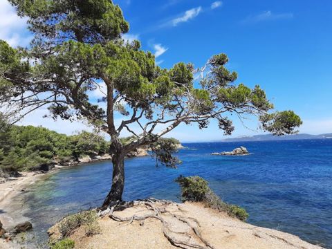 Club Belambra Presqu'ile de Giens - Riviera Beach - Camping Var - Image N°4
