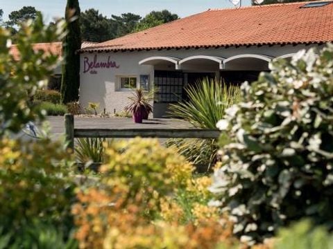 Club Belambra Les Mathes - Camping Charente-Maritime - Image N°8
