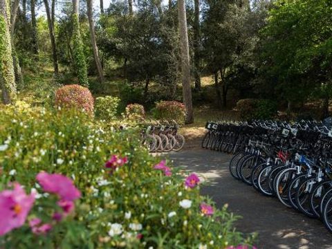 Club Belambra Les Mathes - Camping Charente-Maritime - Image N°9