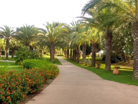 Club Belambra Pineto - Camping Corse du Nord - Image N°24