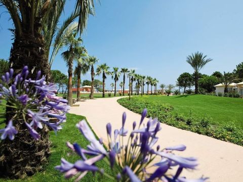Club Belambra Pineto - Camping Corse du Nord - Image N°25