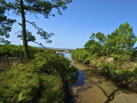 Résidence Nemea Les Rives de Saint Brice - Camping Gironde - Image N°15