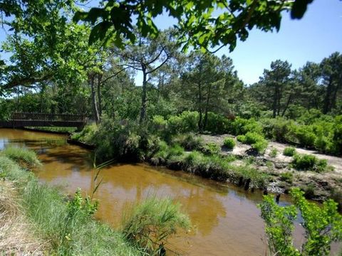 Résidence Nemea Les Rives de Saint Brice - Camping Gironde - Image N°18