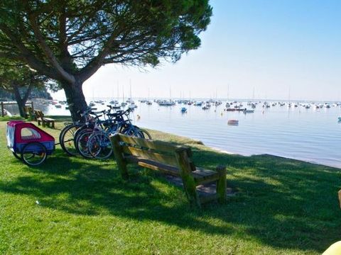 Résidence Nemea Les Rives de Saint Brice - Camping Gironde - Image N°17