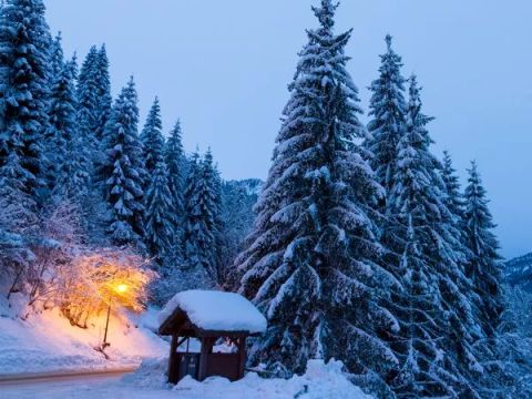Residence Nemea Le Grand Lodge - Camping Haute-Savoie - Image N°14