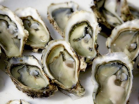 Résidence Domaine de la Baie - Camping Finistère - Image N°26