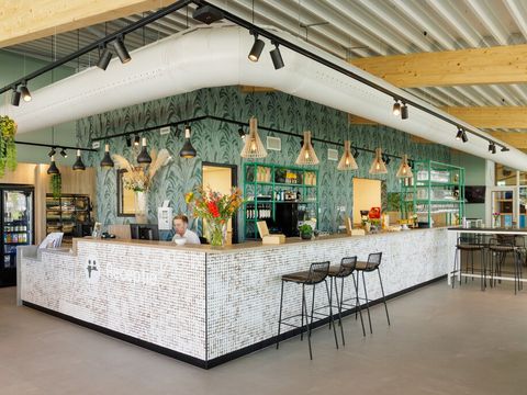 Roompot Duinresort Dunimar - Camping Noordwijk - Image N°8