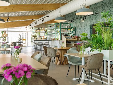 Roompot Duinresort Dunimar - Camping Noordwijk - Image N°9