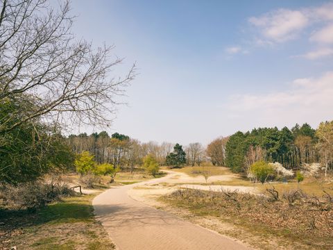 Roompot Duinresort Dunimar - Camping Noordwijk - Image N°16