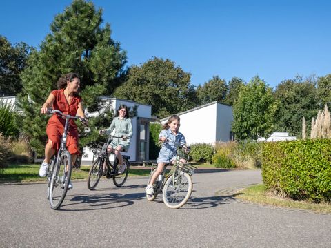 Roompot Strandpark Duynhille - Camping Goeree-Overflakkee - Image N°8