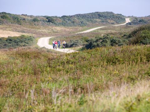 Dormio Resort Duynzicht - Camping Den Helder - Image N°10