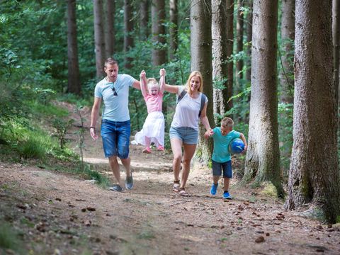 Roompot Eifelpark Kronenburger See - Camping Rhénanie du Nord-Westphalie - Image N°25
