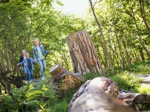 Roompot Buitenhof Domburg - Camping Veere - Image N°39