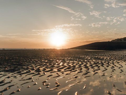 Roompot Buitenhof Domburg - Camping Veere - Image N°38