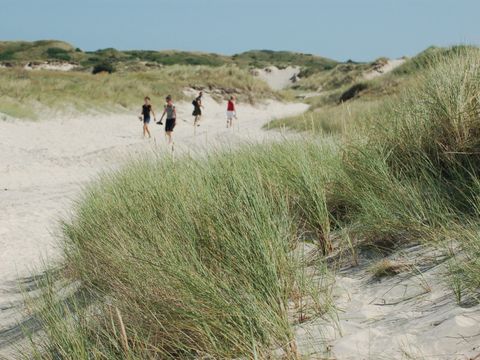Roompot Kustpark Texel - Camping Texel - Image N°15