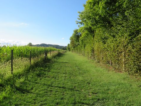 Camping La Salvinie - Camping Dordogne - Image N°37