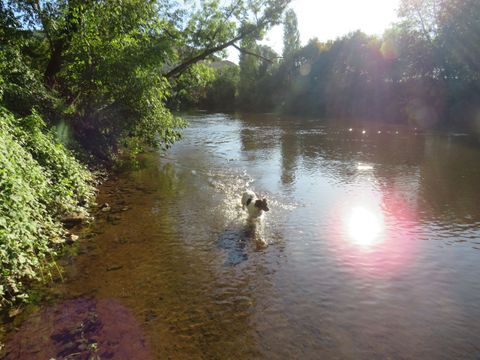 Camping La Salvinie - Camping Dordogne - Image N°36