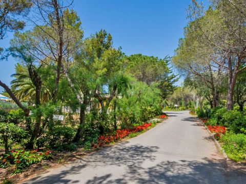 Camping Toscana Bella - Camping Livourne - Image N°10
