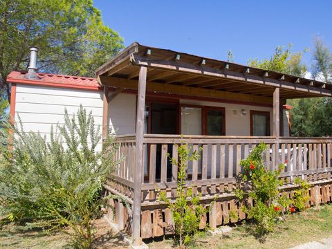 Camping Toscana Bella - Camping Livourne - Image N°19
