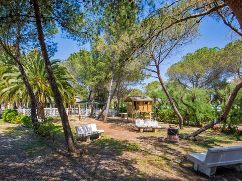 Camping Toscana Bella - Camping Livourne - Image N°9