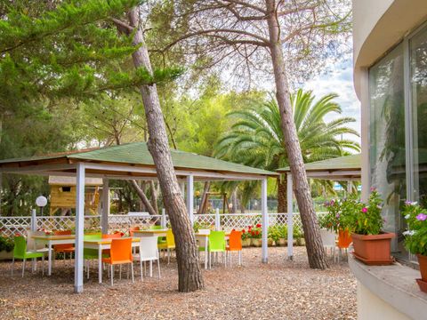 Camping Toscana Bella - Camping Livourne - Image N°6