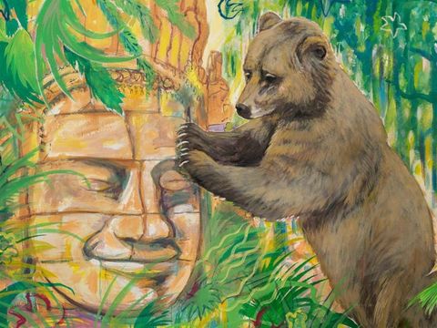 APPARTEMENT 4 personnes - Cottage Le Règne de la Jungle