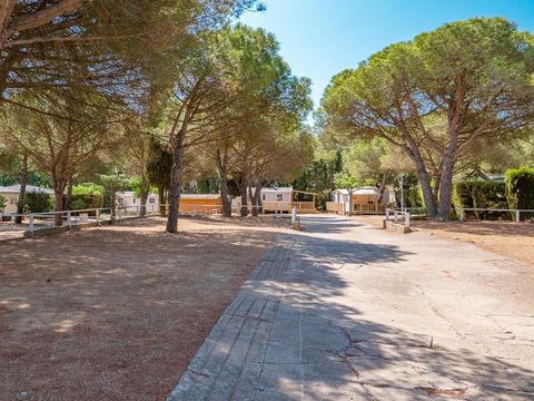 Camping Kim's - Camping Gérone - Image N°20