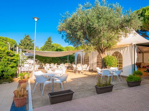Camping Kim's - Camping Gérone - Image N°14