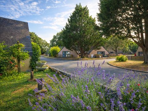 Village Vacances Ty An Diaoul - Camping Morbihan