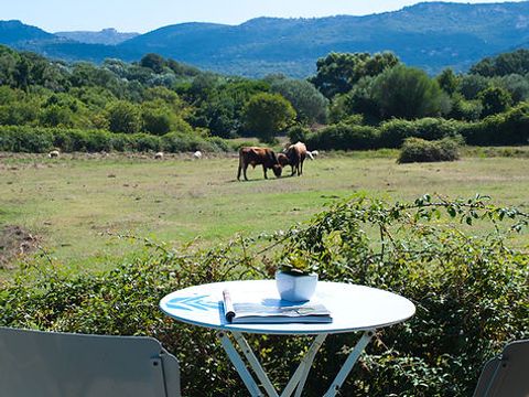 CHALET 2 personnes - PETIT - petit déjeuner, draps et linge inclus - sanitaire communs