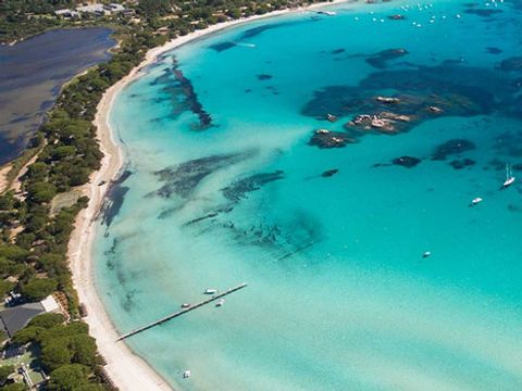Camping Gallina Varja - Camping Corse du Sud - Image N°2