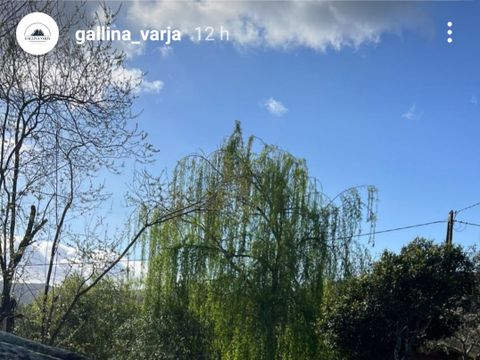 Camping Gallina Varja - Camping Corse du Sud