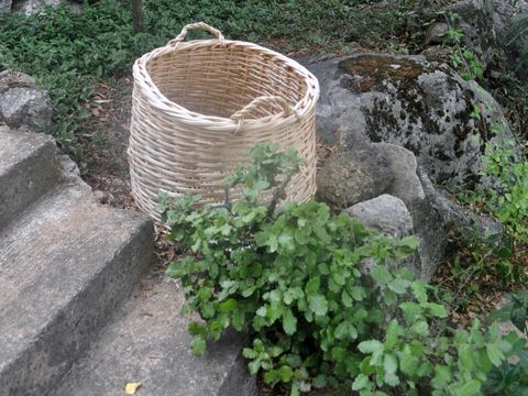 Camping Gallina Varja - Camping Corse du Sud - Image N°12