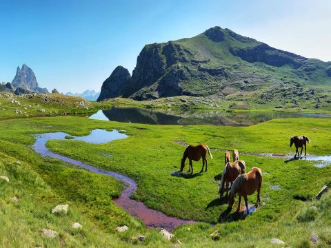  Résidence Goélia Les Balcons d'Ax - Camping Ariège - Image N°6