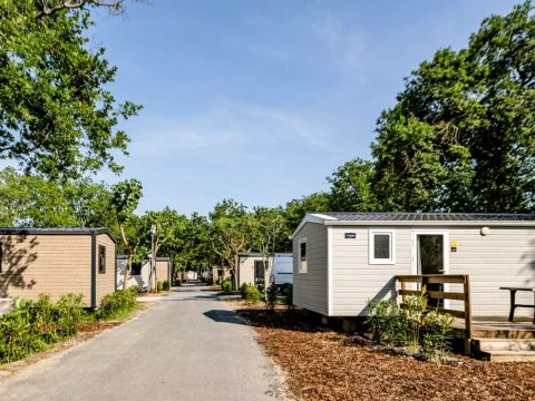 MOBILHOME 4 personnes - Cottage Cordouan 3 Pièces 4 Personnes Climatisé + TV