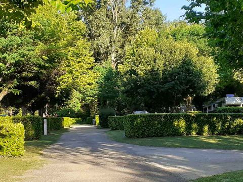 Camping Côté Vercors - Camping Drome - Image N°17