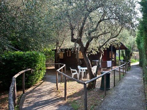 Camping Village Il Paese di Ciribi - Camping Savone - Image N°17