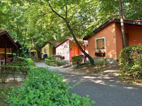 Camping Village Il Paese di Ciribi - Camping Savone - Image N°16