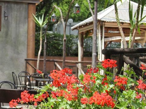 Camping Village Il Paese di Ciribi - Camping Savone - Image N°13
