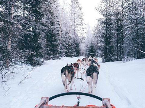 Résidence Champamé Résidence Champamé - Camping Isère - Image N°7