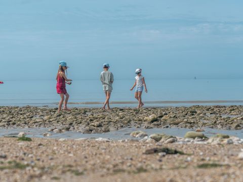 Slow village Ile de Re - Camping Charente-Maritime - Image N°13