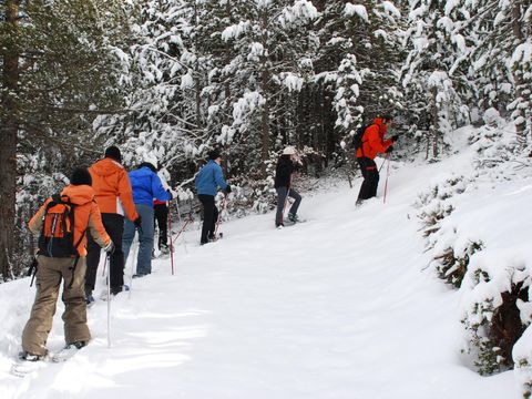Nou Camping - Camping Lleida - Image N°48