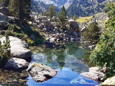 Nou Camping - Camping Lleida - Image N°37