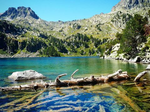 Nou Camping - Camping Lleida - Image N°36