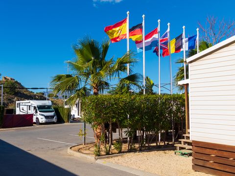 Camping El Torres - Camping Alicante - Image N°21