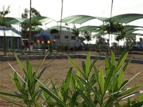 Emplacement - PARC. STANDARD 55 A 65 M2