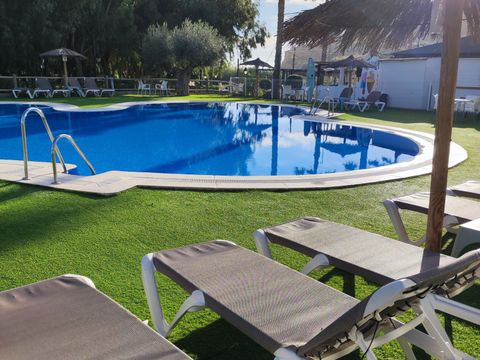 Camping El Torres - Camping Alicante - Image N°2