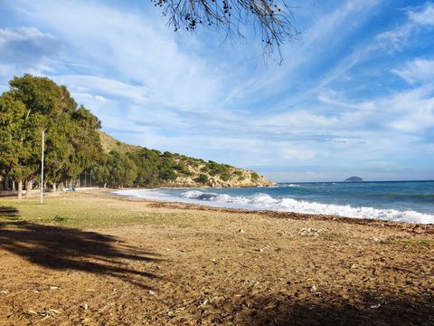 Camping El Torres - Camping Alicante - Image N°34