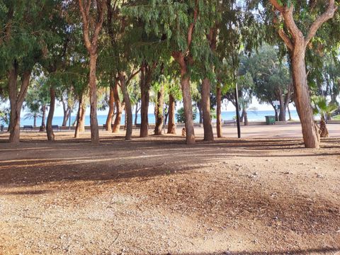 Camping El Torres - Camping Alicante - Image N°33